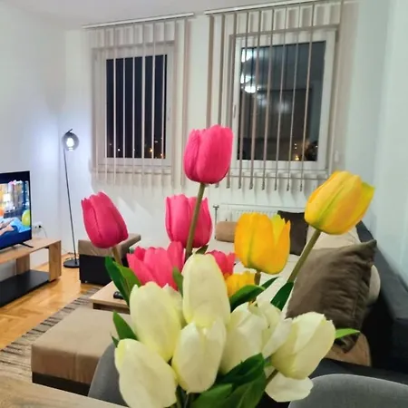 Apartmán Apartman Disneyland Bijeljina